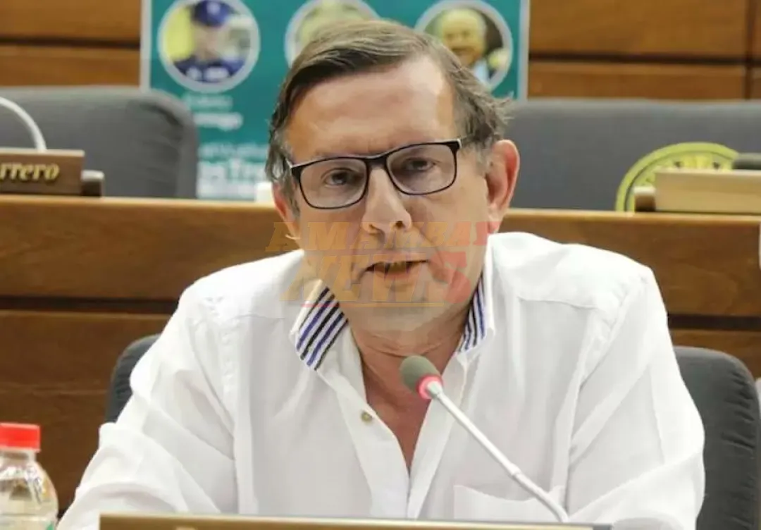 Esquema de coimas en SENAVE habría recaudado entre 5 a 10 millones “por documento”