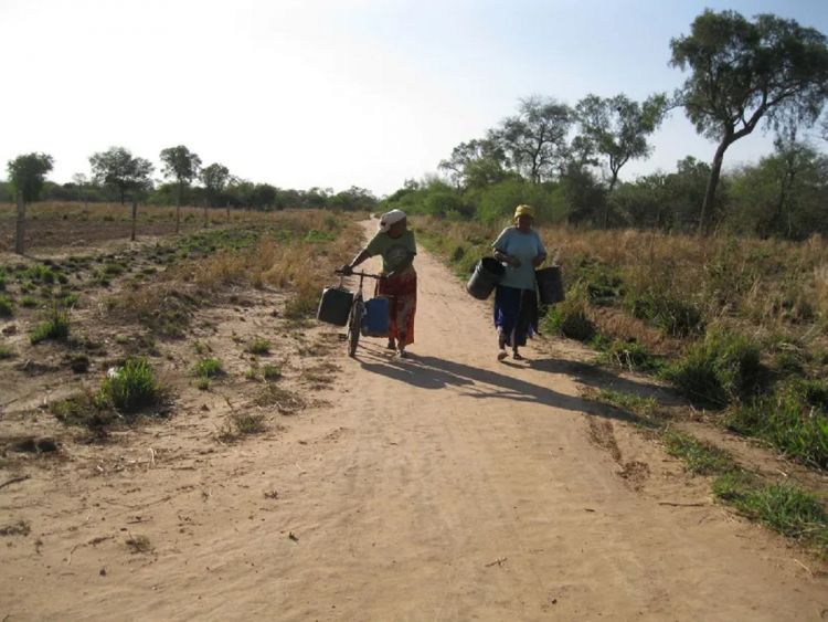 Piden racionalizar agua en el Chaco Central, por falta de lluvias