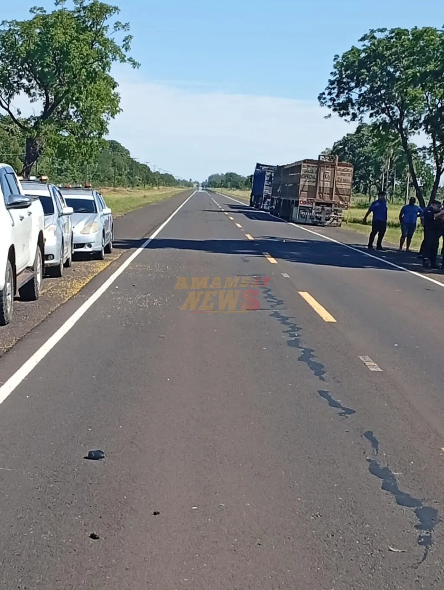 Motociclista fallece tras choque con camión en ruta Py08 en Yby Yau