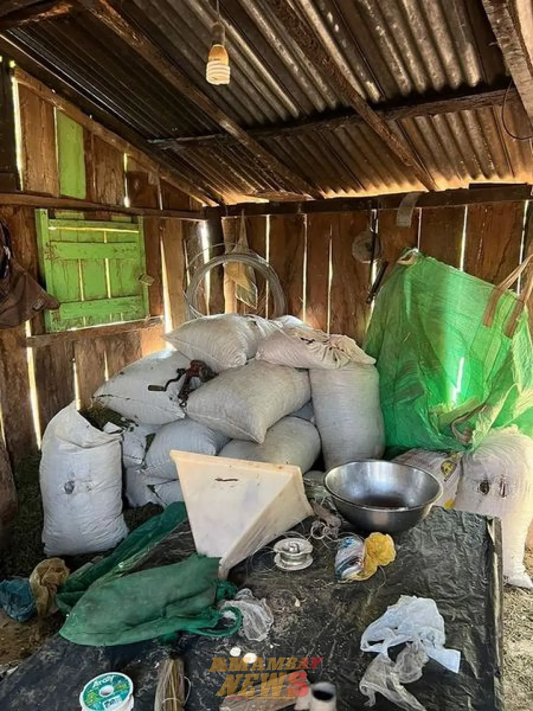 Allanamientos permitieron incautar casi seis toneladas de presunta marihuana