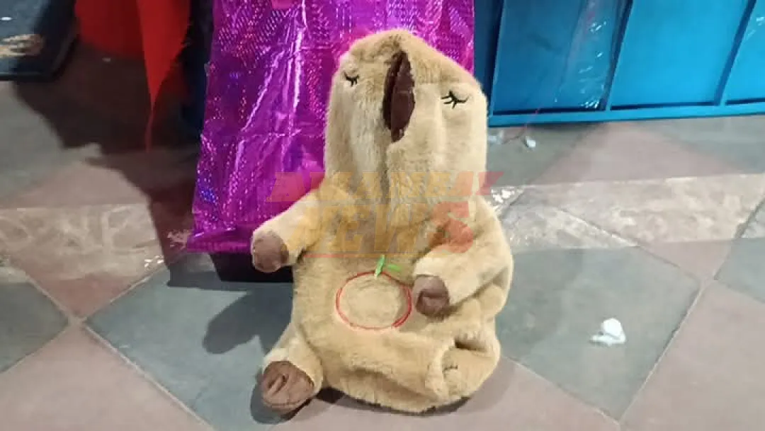 SENAD detecta cocaína, éxtasis y LSD dentro de un peluche con forma de capibara