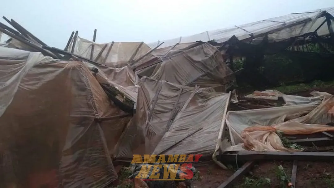 Fuerte temporal causa destrozos en Capitán Miranda