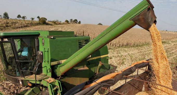 Productores reportan que cosecha de soja llega a 30% en Alto Paraná