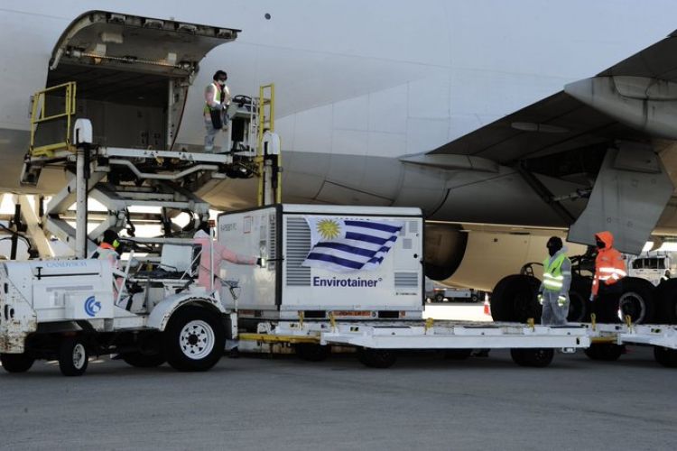 Uruguay recibió 550.000 dosis de la vacuna contra el COVID-19