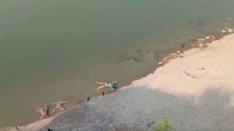 Hallan más de 70 cadáveres flotando en río Ganges en India
