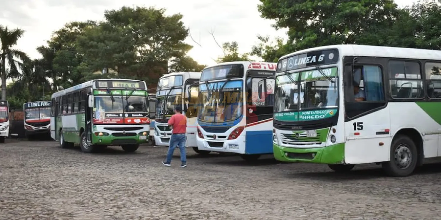 Anuncian suba de G. 600 para el pasaje en buses internos de Asunción