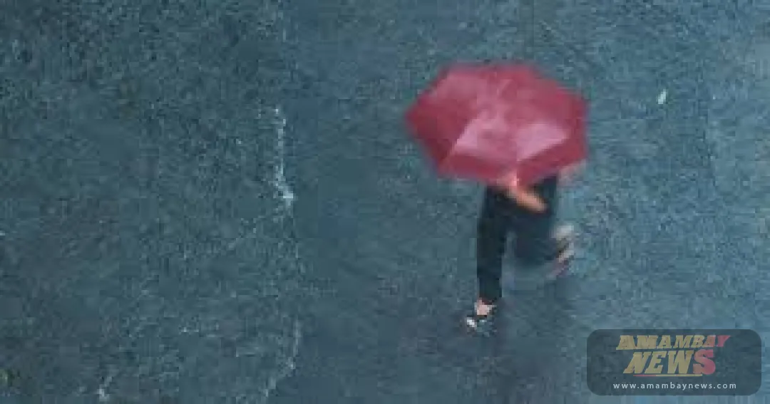 Lluvias con ocasionales tormentas eléctricas para este domingo, según pronóstico