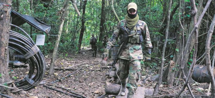 Los parques son usados para refinar cocaína; en Bolivia hay unas 300 pistas ilegales