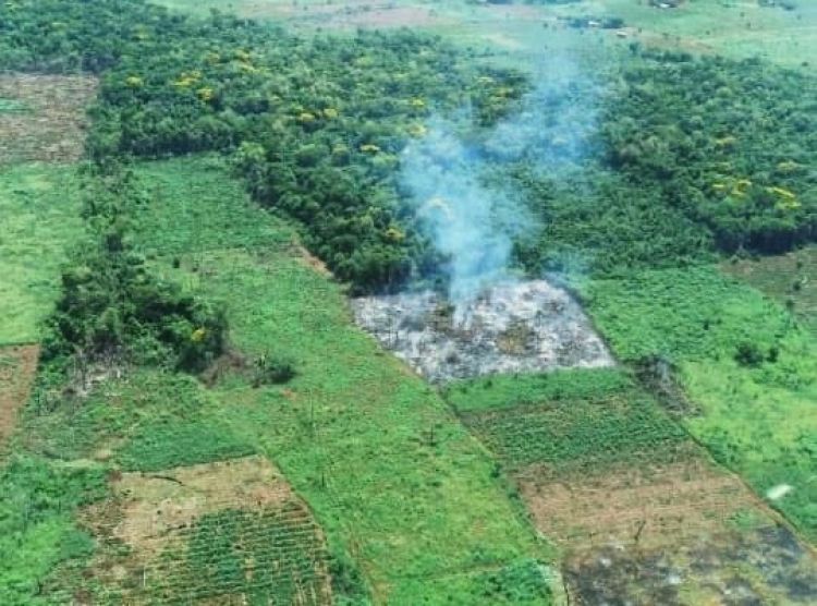 Senador denunció ante la Fiscalía, delitos ambientales cometidos en la Reserva San Rafael