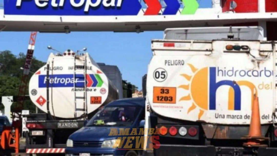 Petropar: Denuncian despido de funcionaria en etapa de amamantamiento y con estabilidad laboral