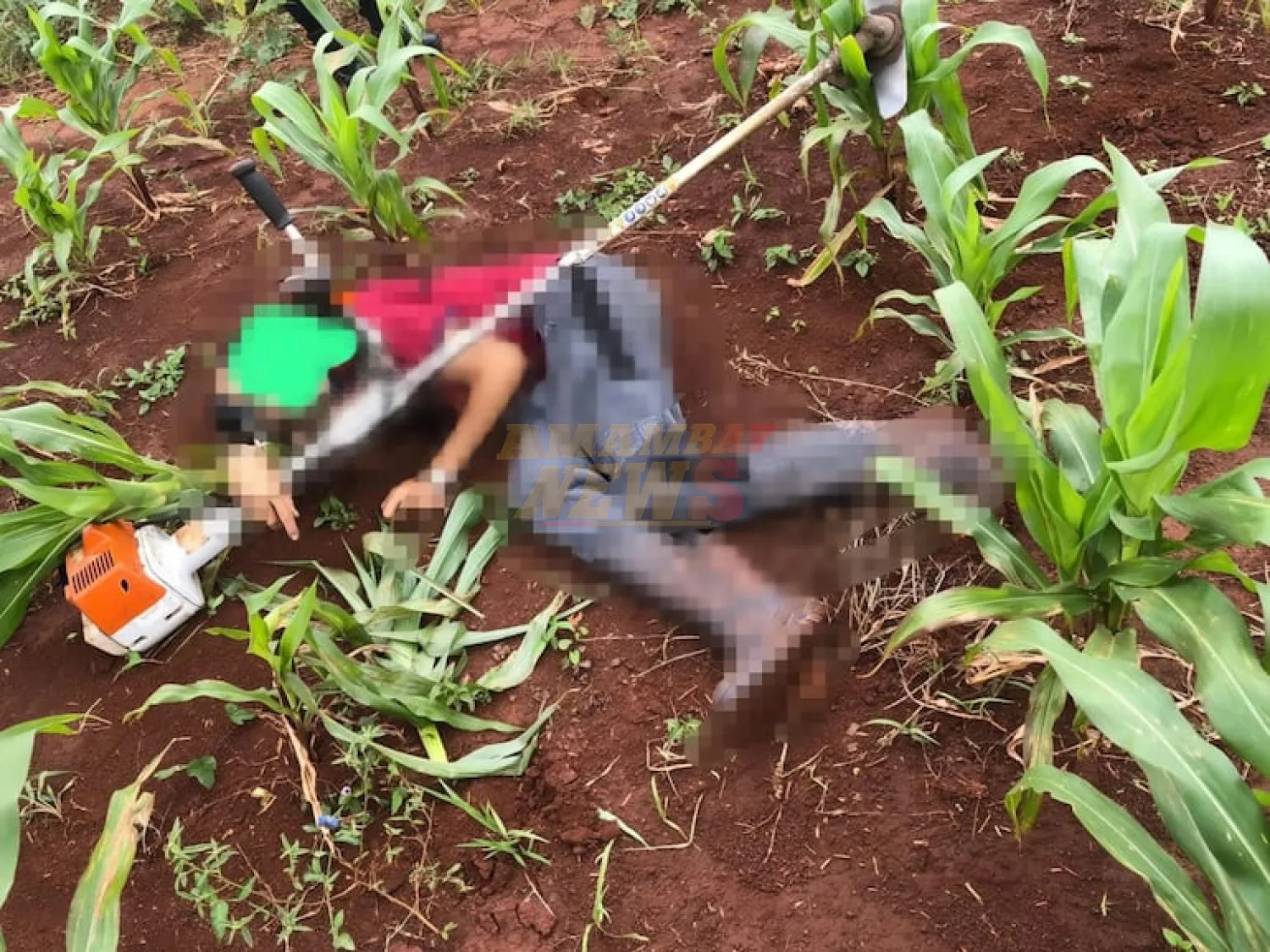 Asesinan a tiros a un hombre en su chacra en San Juan del Paraná