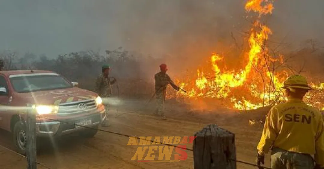 Incendio forestal: Seis instituciones del Chaco suspenden clases presenciales