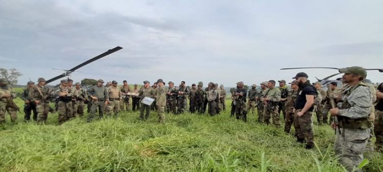 Nueva Alianza culminó con la eliminación de 836 toneladas de marihuana