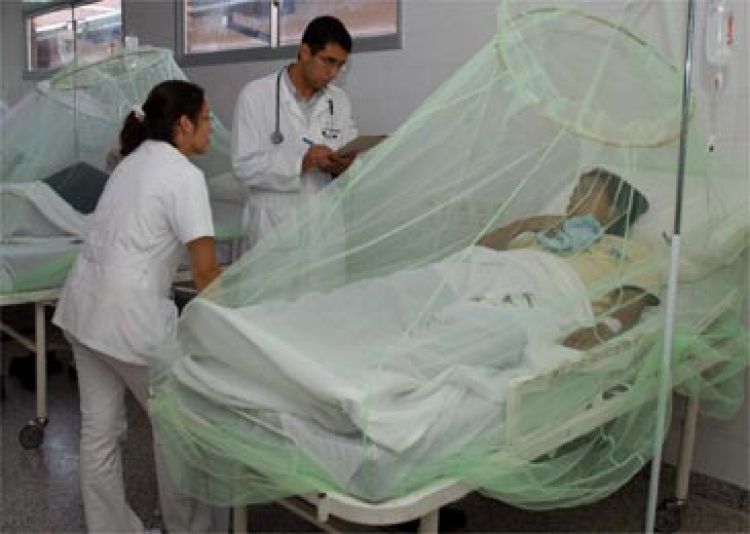 El dengue se expande y ya suman 433 los casos