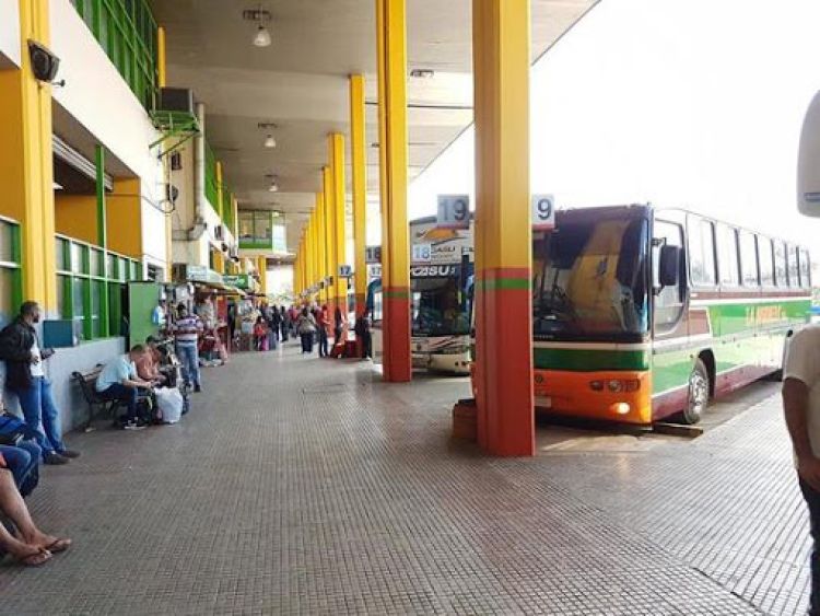 Dinatran libera horario de buses por festividad de Caacupé