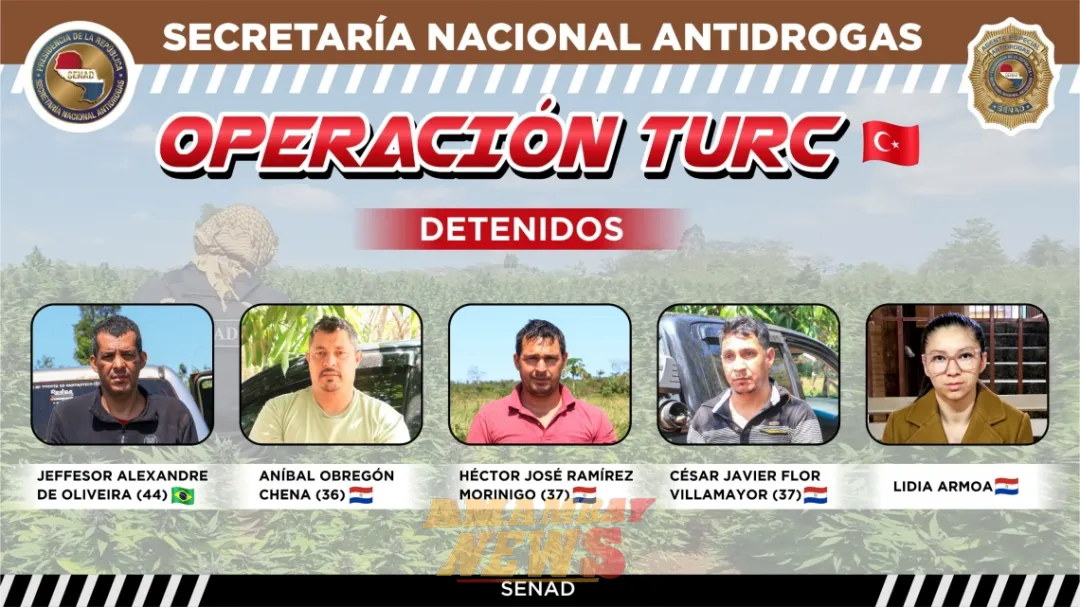 SENAD desarticula organización de producción de marihuana "vip" en San Pedro y Amambay