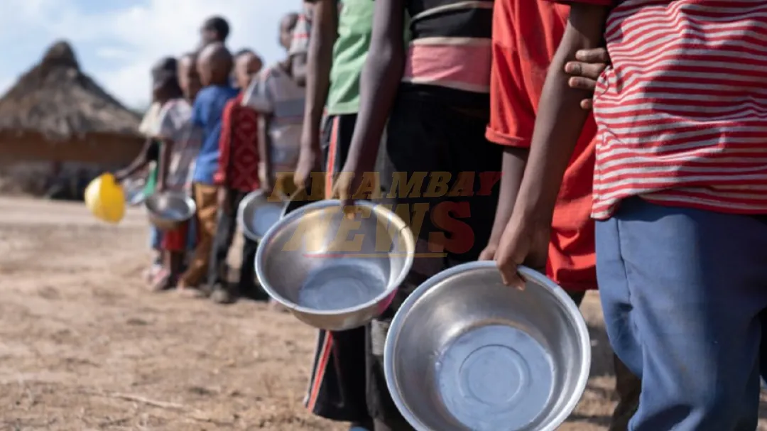 ONU: Más de 52 millones de africanos en riesgo de hambre entre junio y agosto