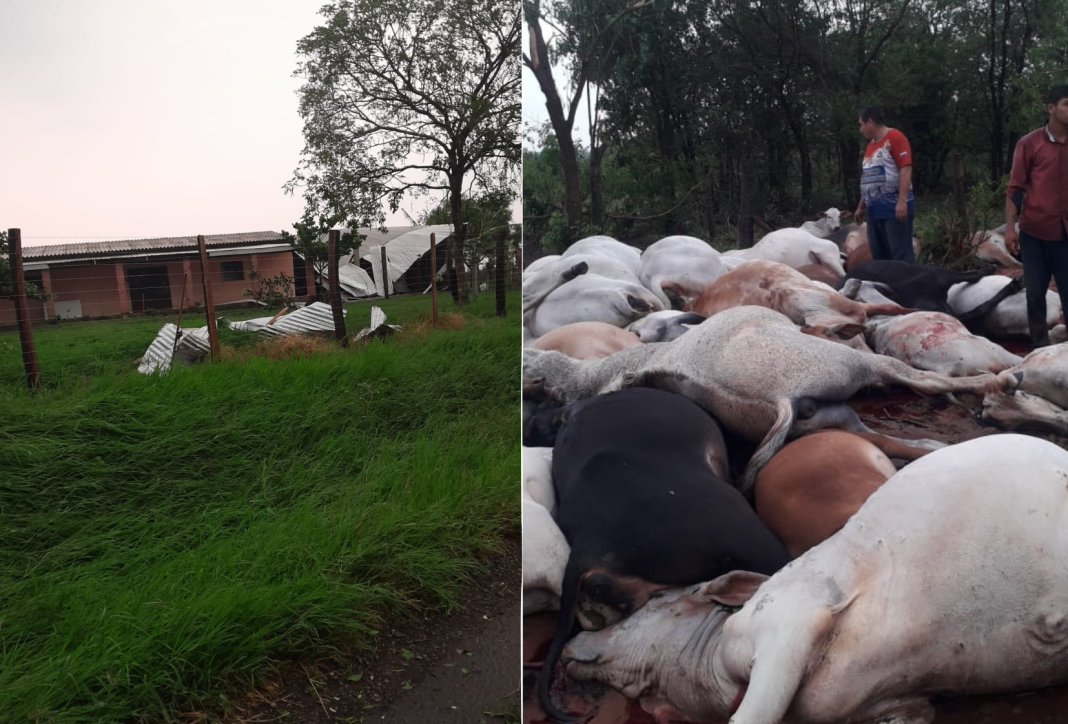 Temporal causó destrozos en Ybyrarobaná y 80 animales murieron por caída de rayo