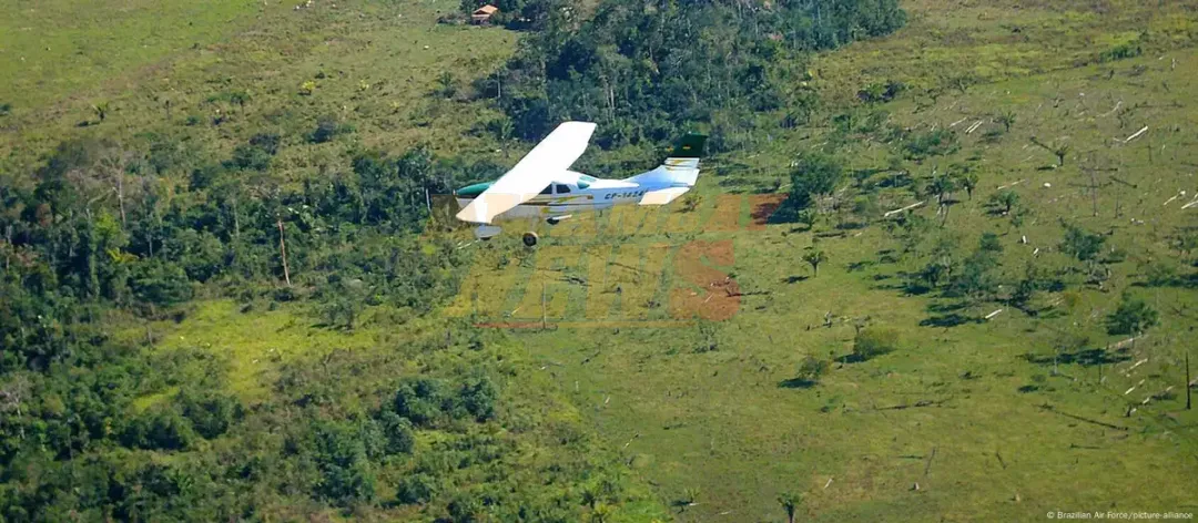¿Por qué la frontera Venezuela-Brasil atrae al narcotráfico?