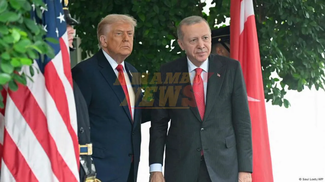 Gaza: Erdogan elogia "liderazgo" de Trump para alto al fuego
