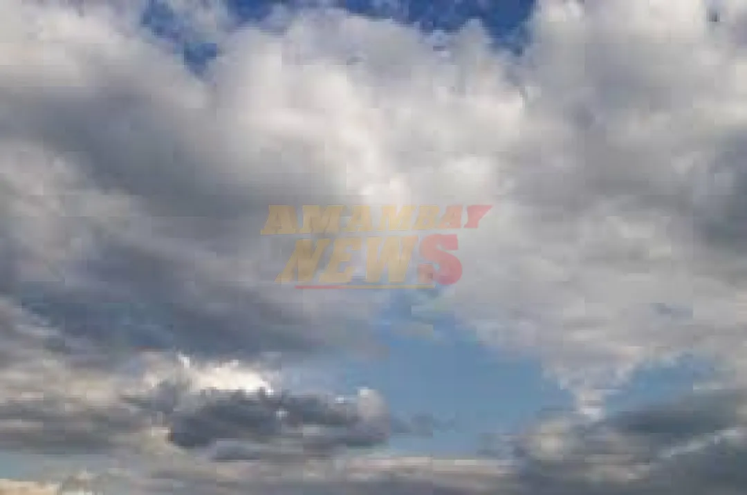 Jueves con tiempo inestable, mucha humedad y vientos del sur
