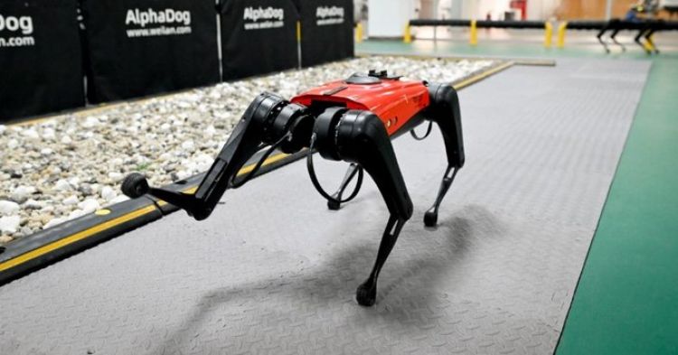 AlphaDog, el perro robot que es toda una sensación para los amantes de la tecnología en China