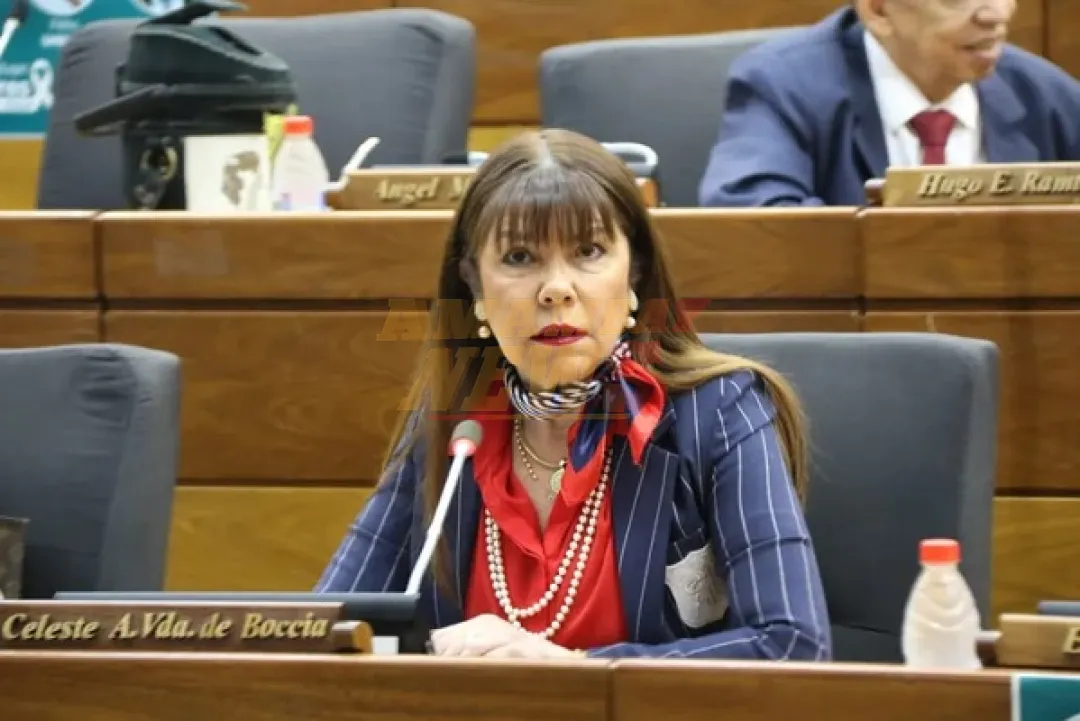 Celeste Amarilla cuestiona oficina de asesor del Congreso en casa de Cartes