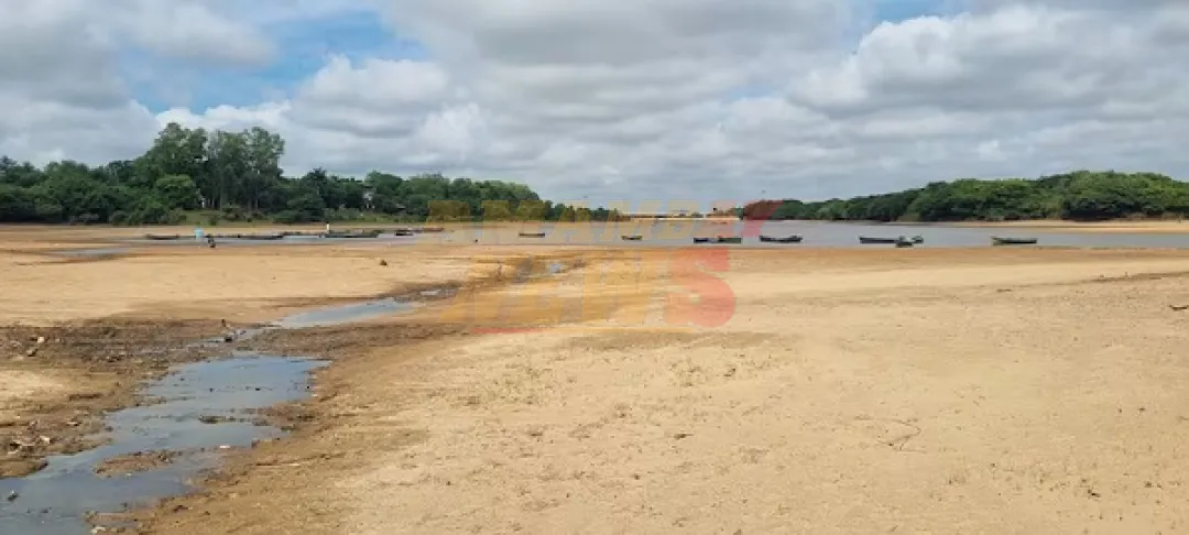 Mades suspende declaraciones de impacto ambiental a arroceros