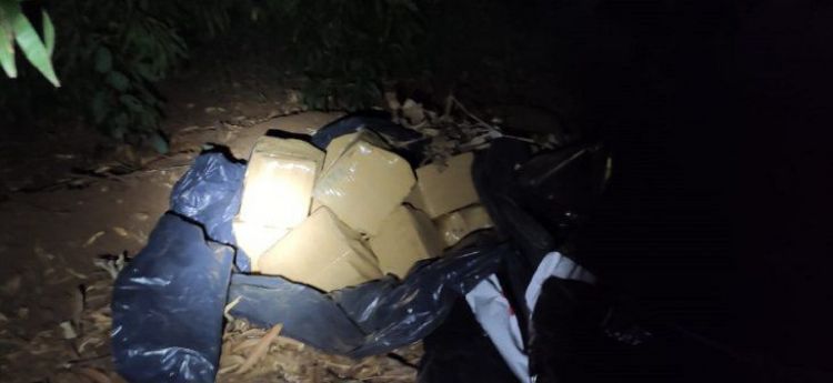 Senad incauta 408 kilos de marihuana en una estancia de Amambay
