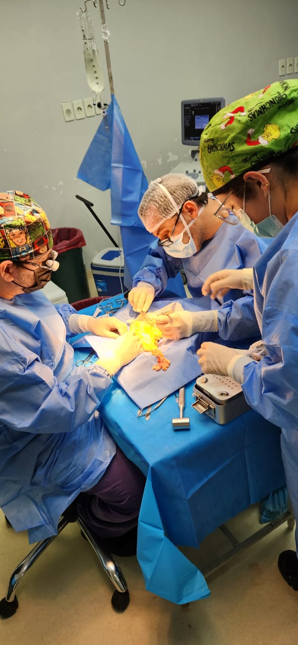 Trasplante renal en pascua