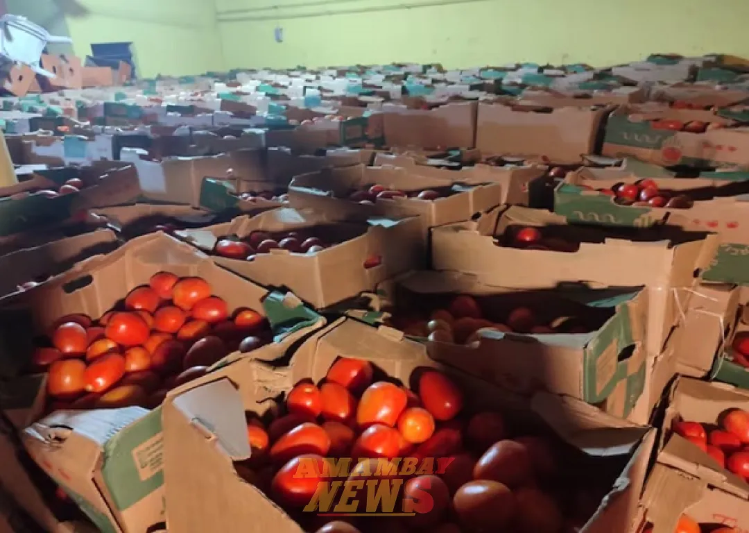 Decomisan 40 toneladas de tomate de contrabando en Asunción