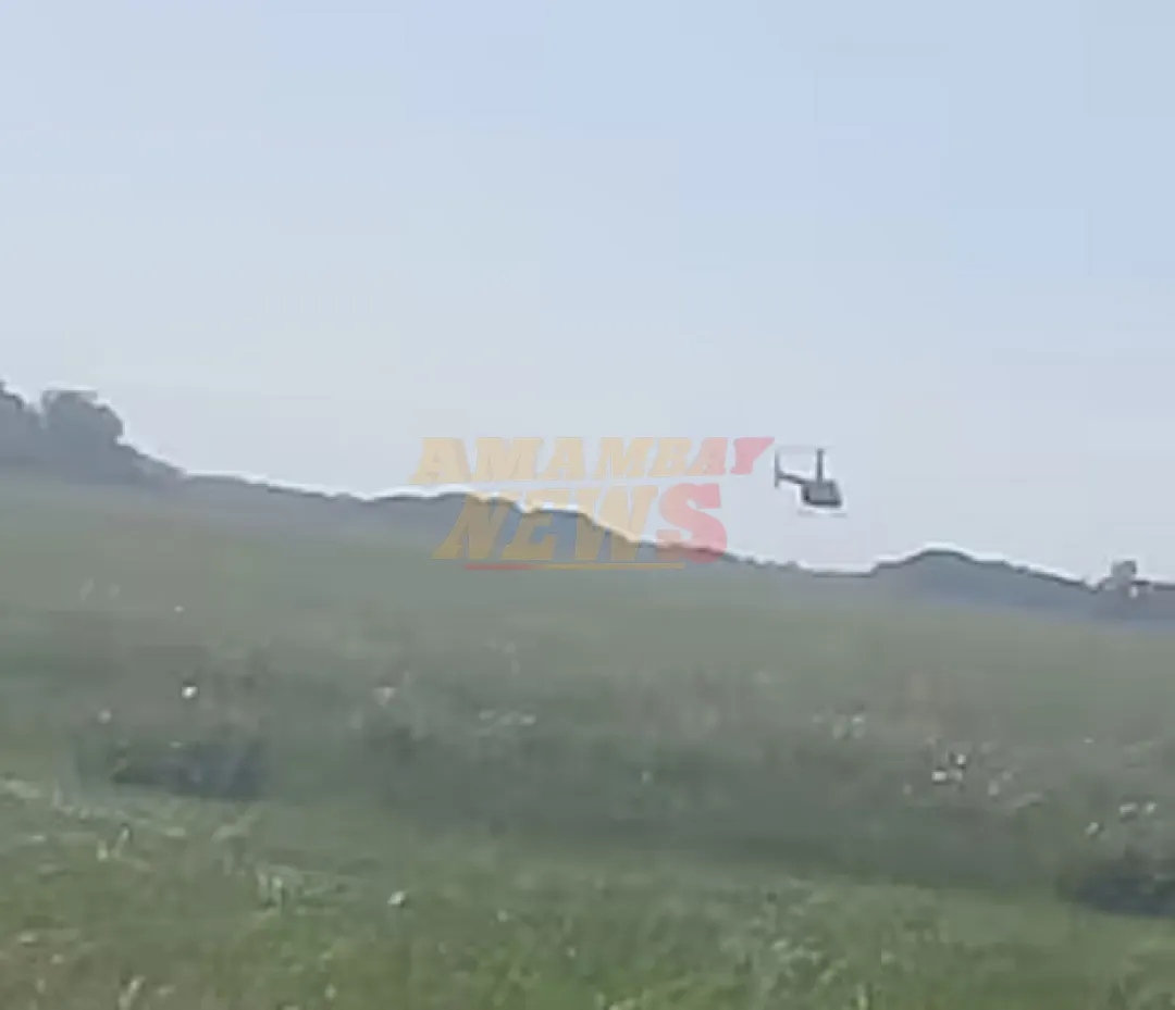 Denuncian caza ilegal de animales desde helicópteros en Ñeembucú y Misiones