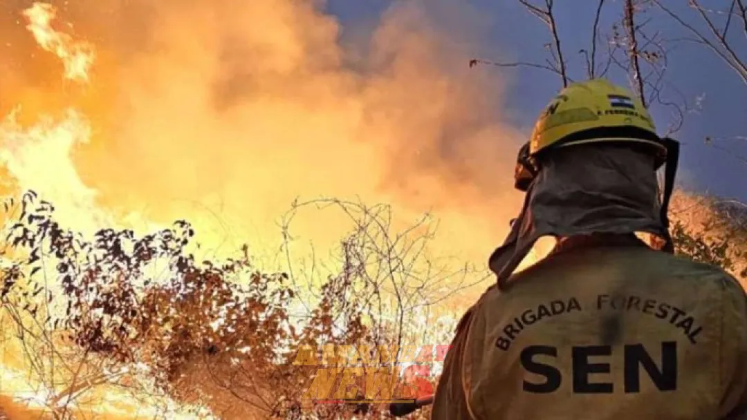 Incendio en Chovoreca: Lluvia caída no es suficiente para aplacar las llamas, afirma la SEN