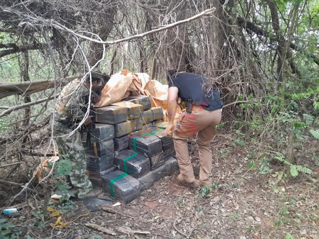 SENAD y FTC incautaron 1 tonelada de Marihuana en San Pedro