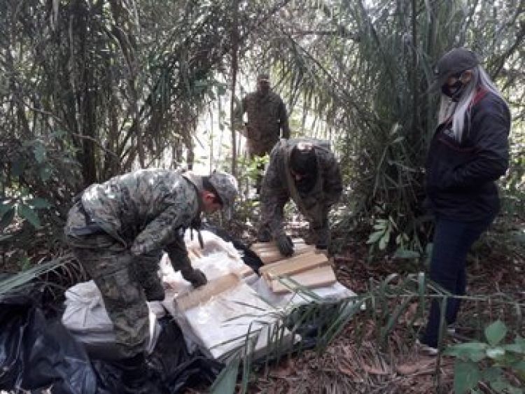 Desarticulan una red narco de producción de marihuana en Amambay