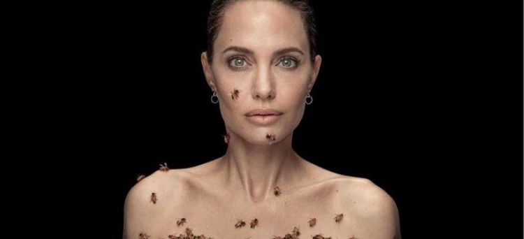 Angelina Jolie posa 18 minutos cubierta de abejas para concienciar sobre la importancia de estos insectos