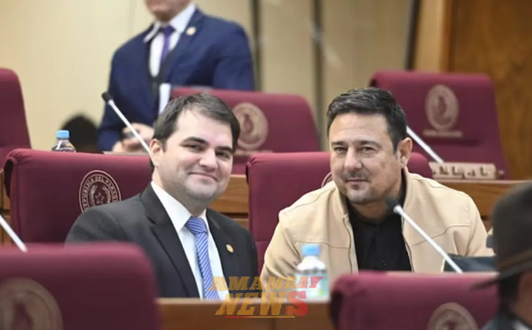 Diputado Buzarquis urge a convocar al suplente de Lalo Gomes
