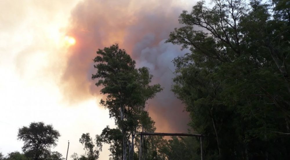 Incendio de gran magnitud afecta a zonas rurales en Pilar