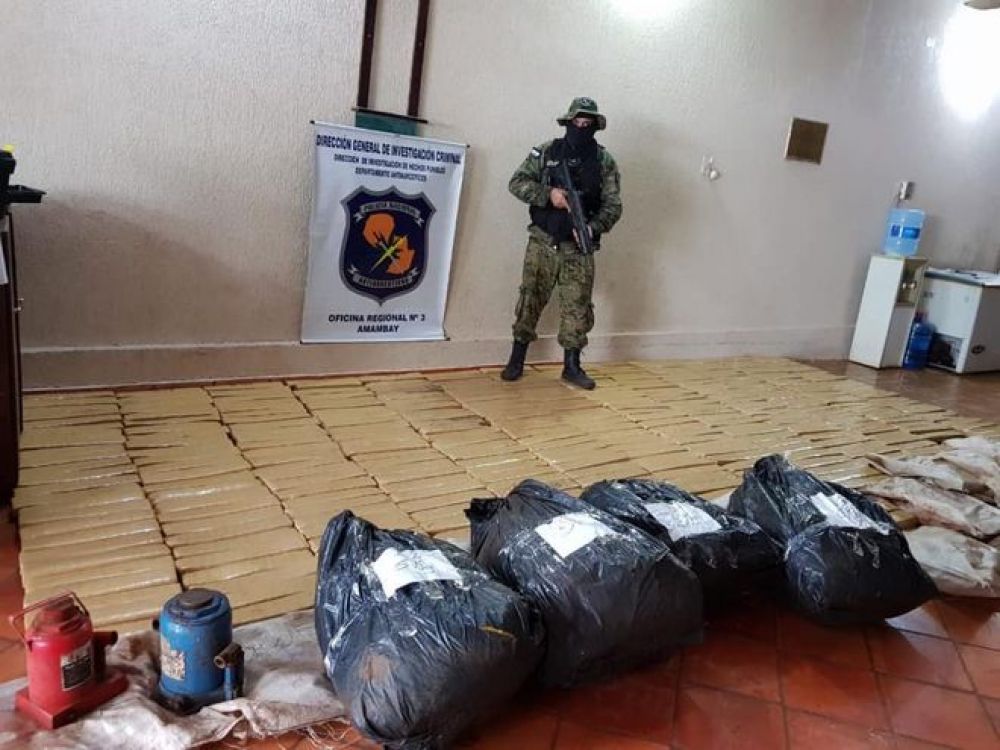 Incautan drogas y destruyen campamento marihuanero en la colonia Estrella