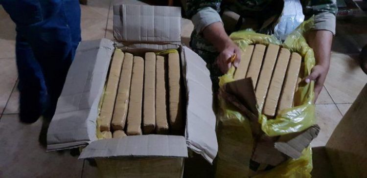 Senad incauta más de 300 kilos de marihuana en encomiendas en Concepción