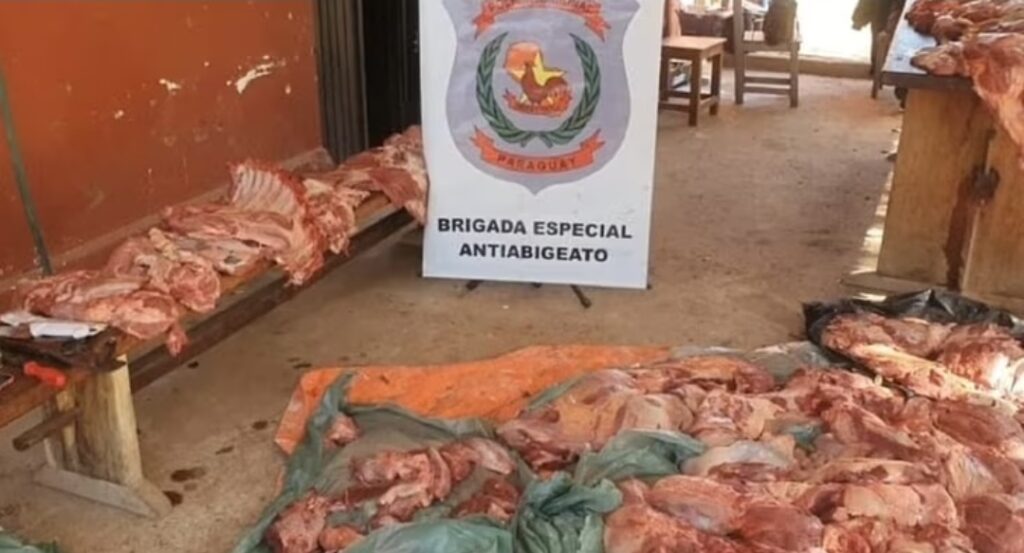 Autoridades inician lucha frontal contra el abigeato en Concepción