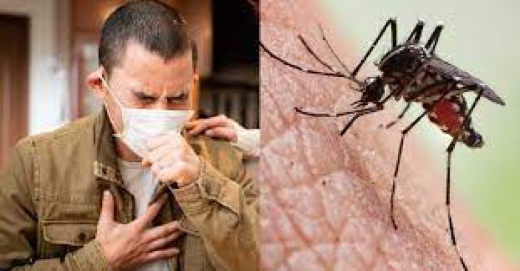Notificaciones de dengue en aumento progresivo
