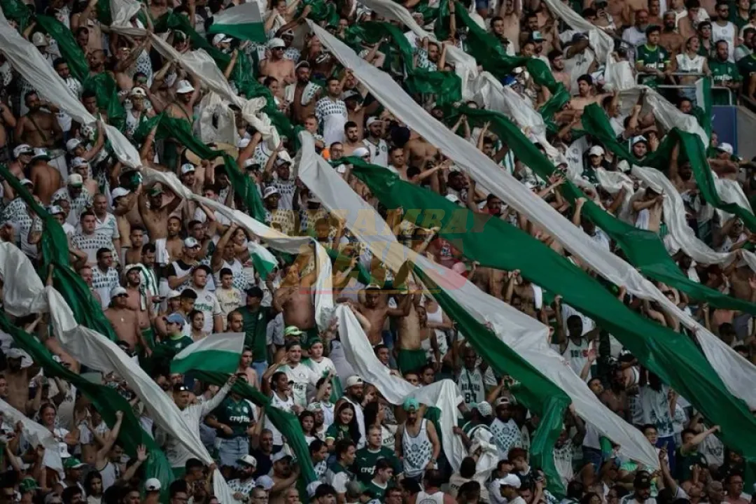 Hinchas del Palmeiras sufren intento de emboscada en carretera
