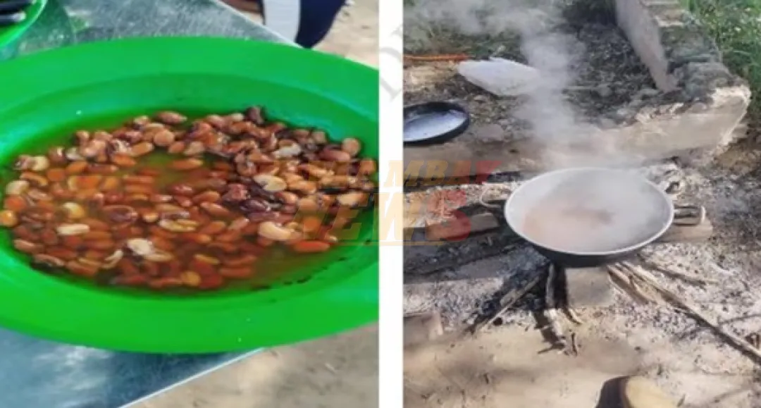 Contraloría revela graves fallas en Hambre Cero en escuelas indígenas