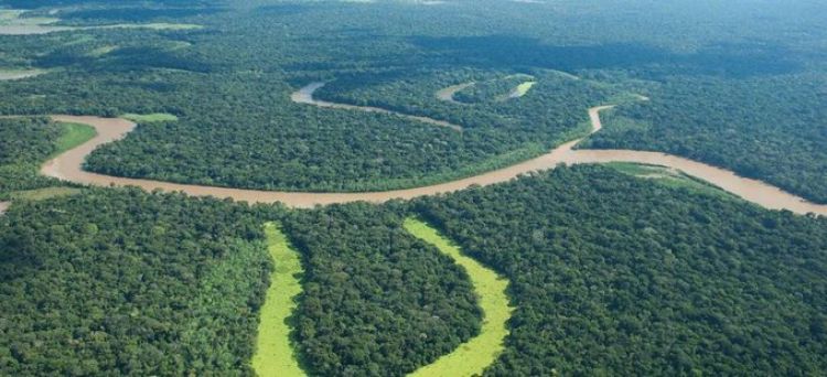 BID anuncia compromiso de $us 775 millones de ONU para fondo de desarrollo de Amazonia