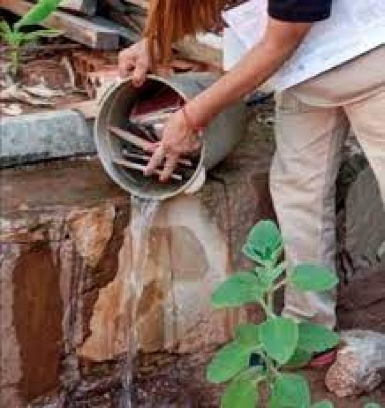 Instan a eliminar criaderos del mosquito transmisor del dengue