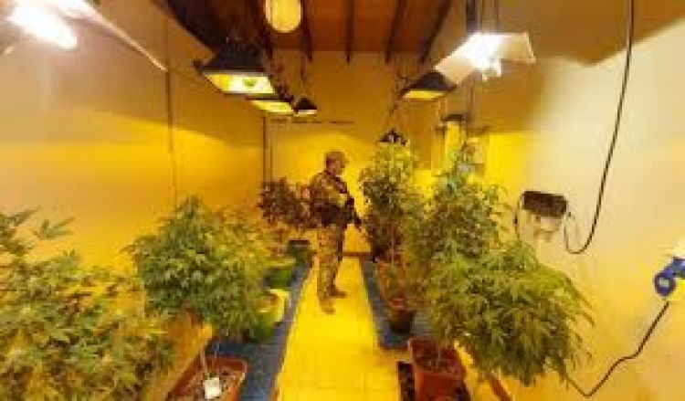 Juez decreta prisión de jóvenes involucrados en caso «marihuana vip»