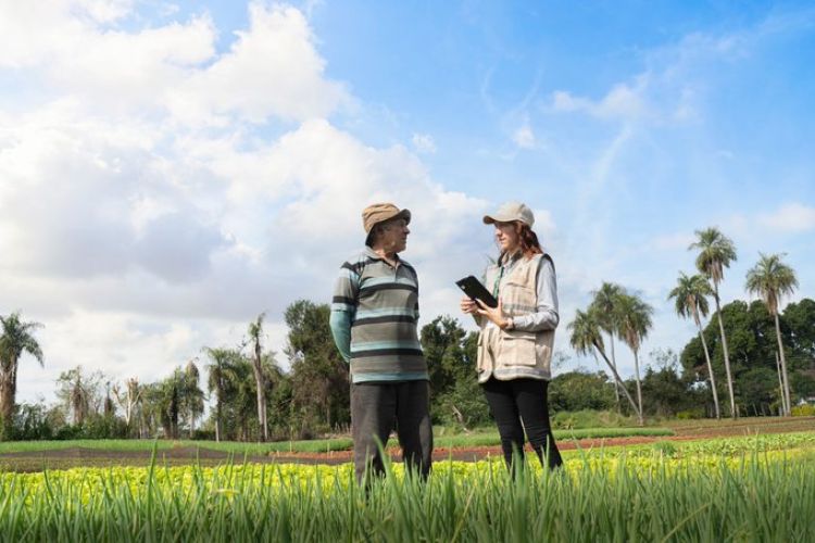 Arranca este lunes el censo agrícola nacional en 4 departamentos
