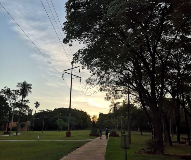 Ambiente agradable para este jueves