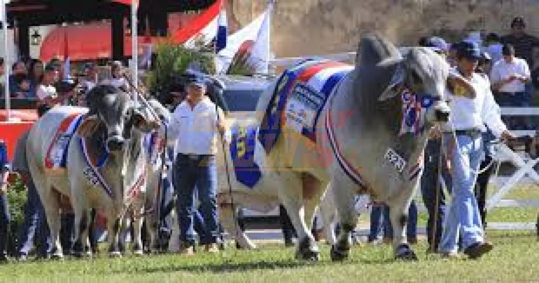 Todo listo para la Expo Paraguay 2025: Arranca el 12 de julio con animales, empresas y shows para todos